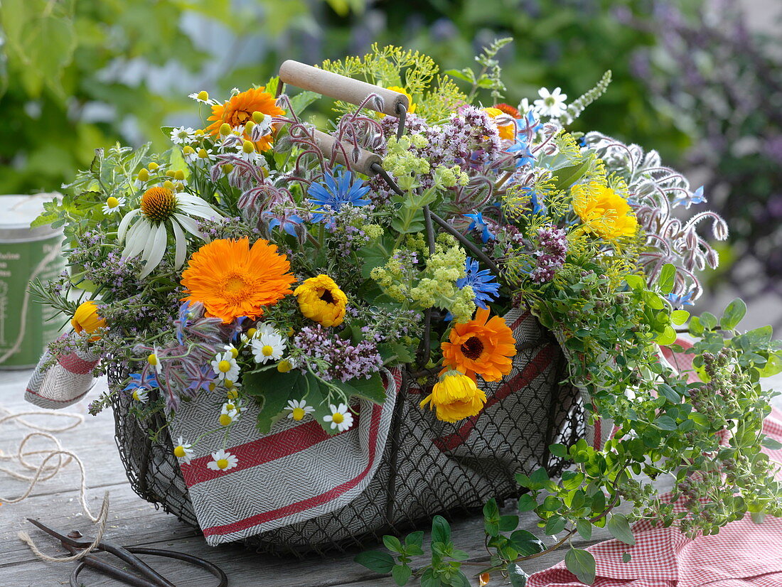 Freshly harvested herbs in wire basket