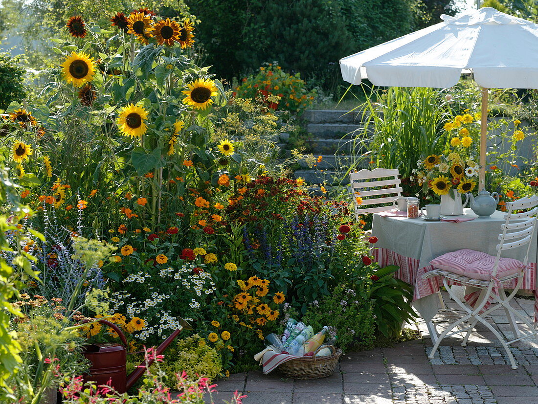 Terrace by the late summer bed