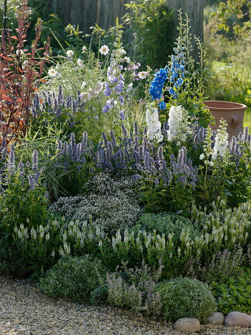 Blue-white late summer flower bed