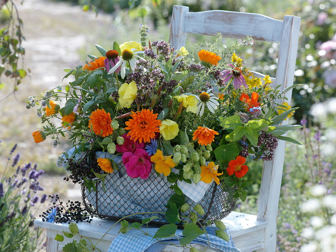 Arrangement of medicinal plants and tea herbs