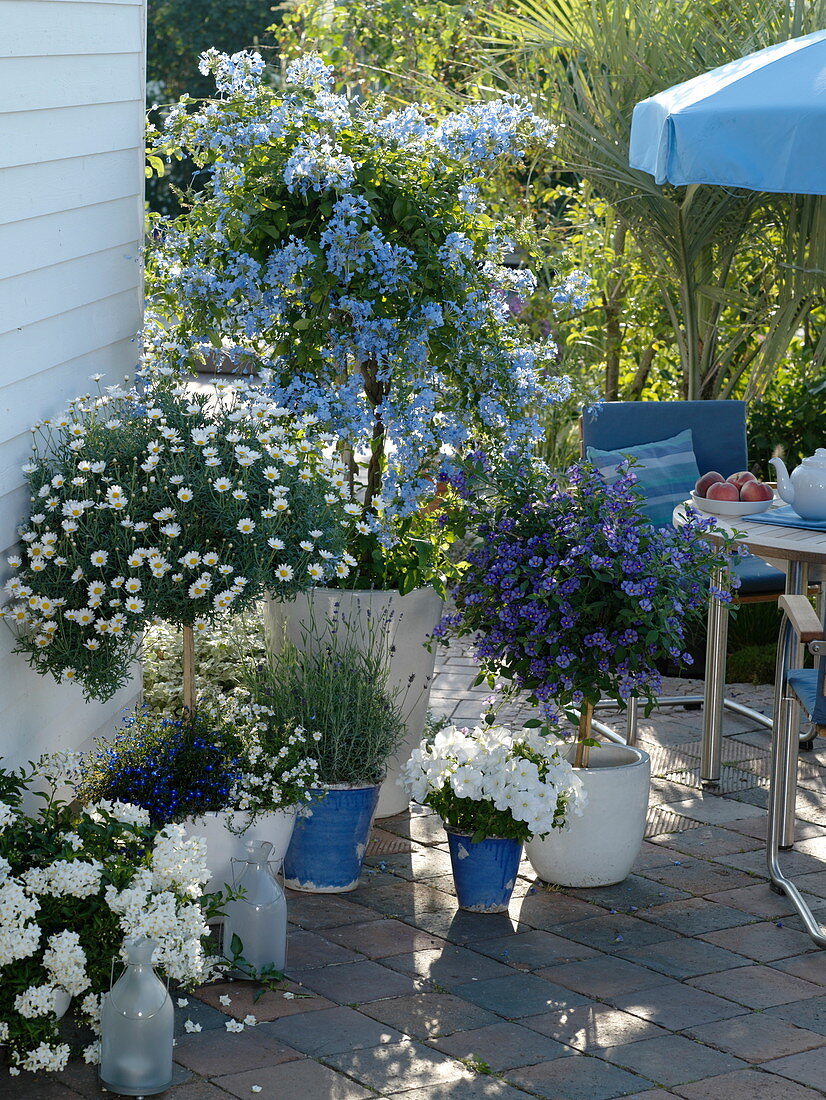 Blau-weiße Terrasse im Halbschatten