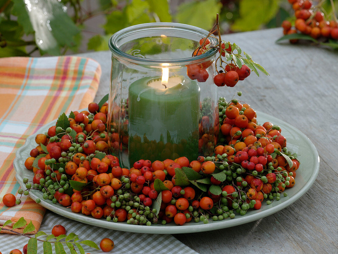 Wreath of rowan berries and elderberries (3/3)