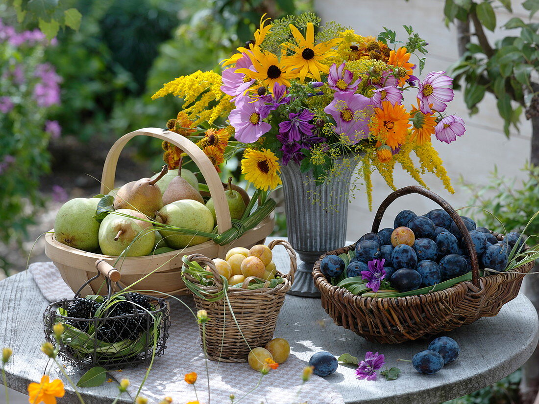 Frisch geerntete Birnen, Zwetschgen, Mirabellen und Brombeeren in Körben