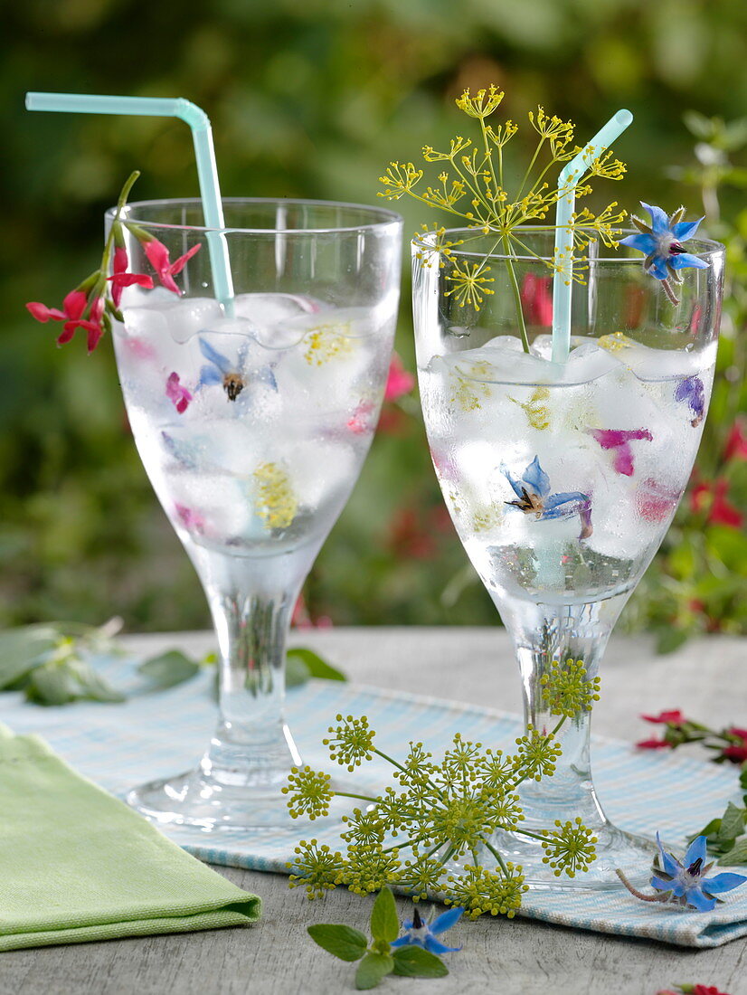 Eiswürfel mit eingefrorenen Kräuter - Blüten