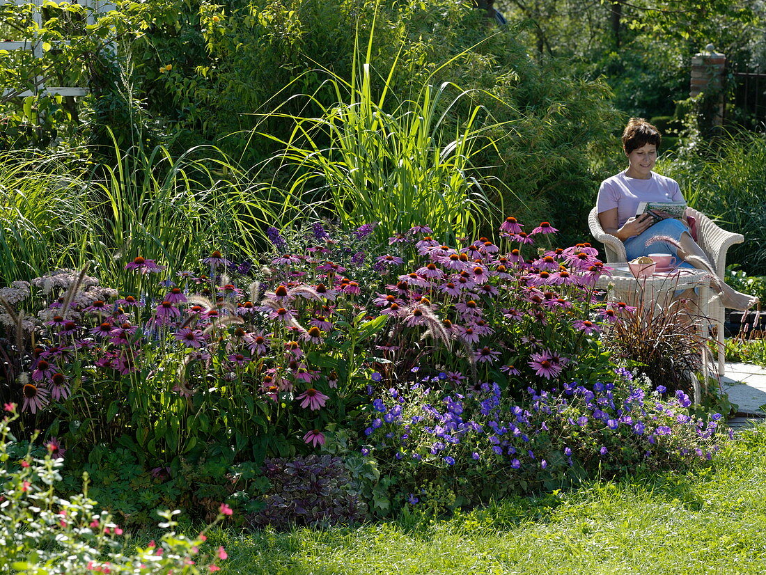 Late summer bed with coneflower, cranesbill and grasses