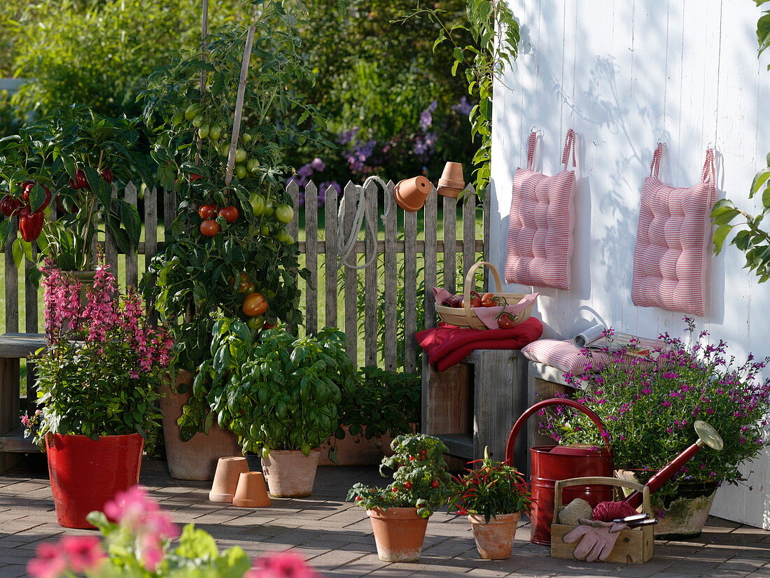 Terrasse mit Tomaten, Paprika und Basilikum