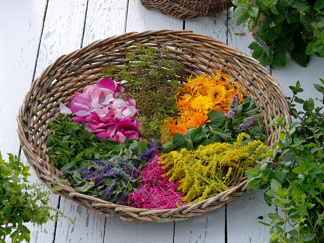 Wicker basket with flowers and tea and scented herbs leaves