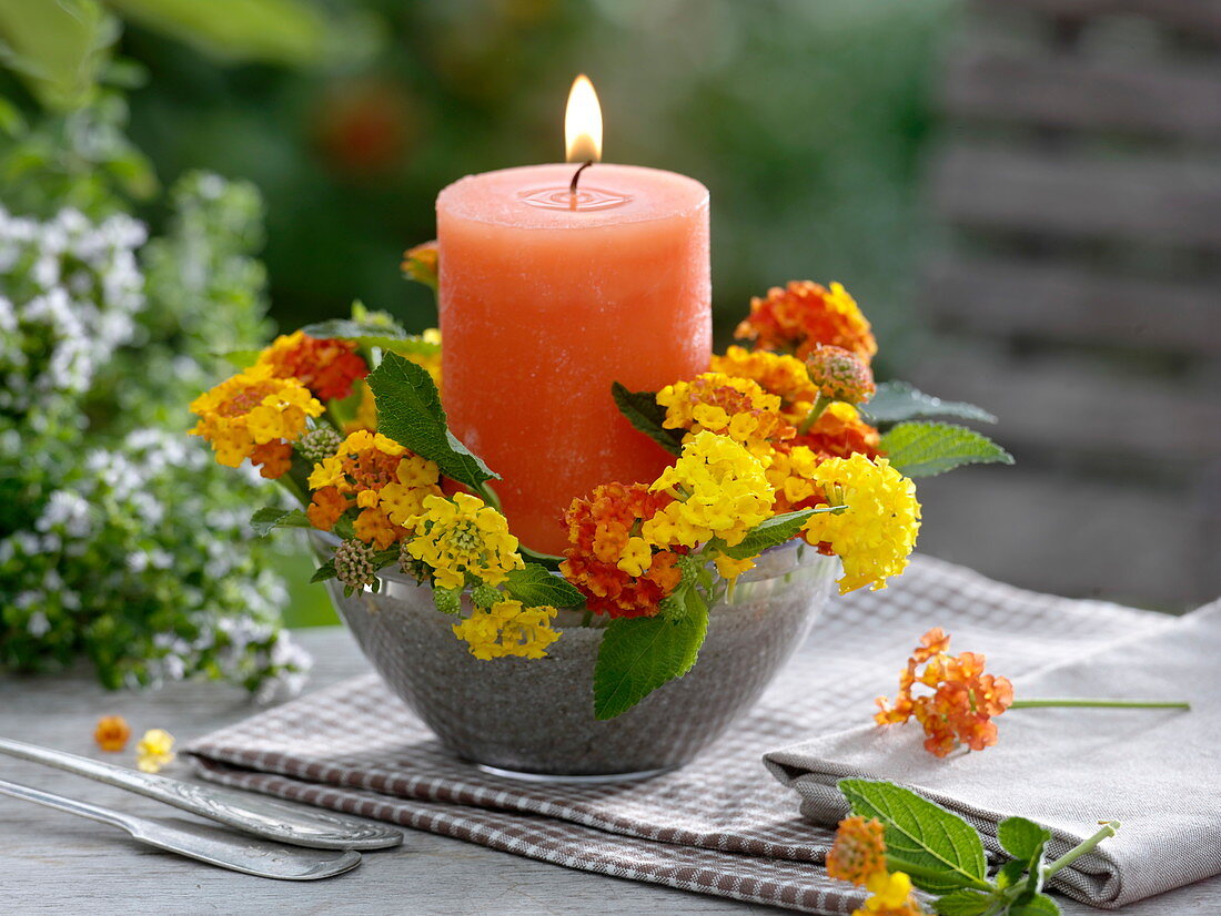 Blüten von Wandelröschen um orange Kerze gesteckt
