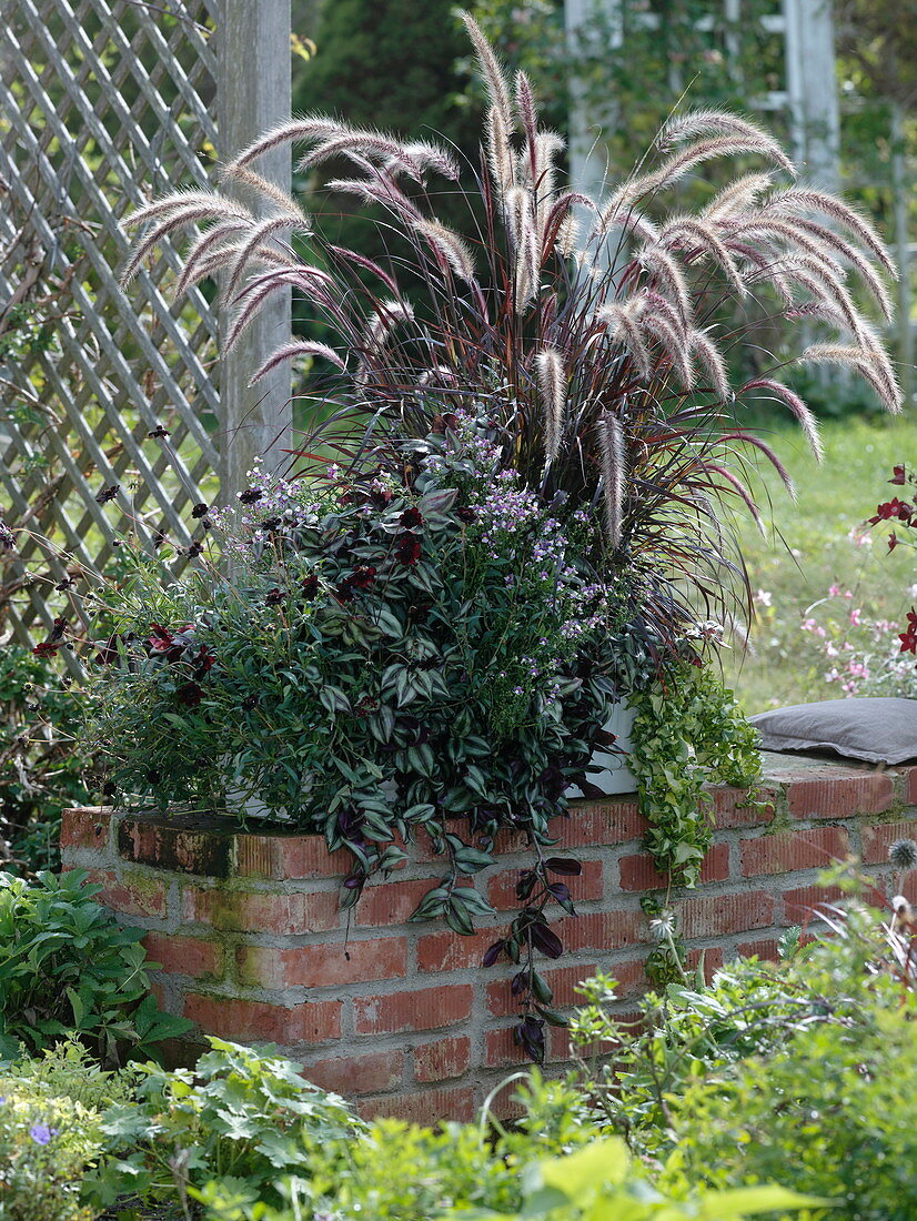 Boxes with grass and leafy ornamental plants