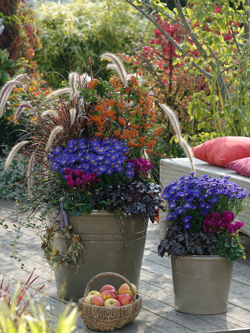 Autumn planted pots