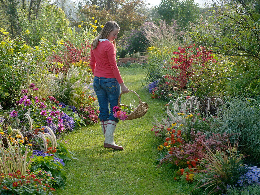 Autumn beds with grasses, perennials, summer flowers and woody plants