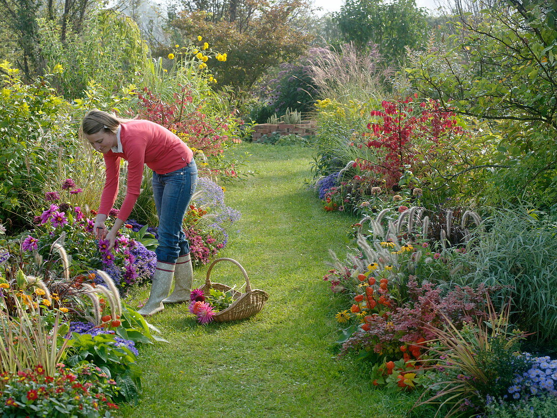 Autumnal beds with grasses, perennials, summer flowers and shrubs