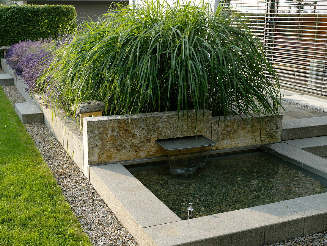 Small architectural pond with water feature