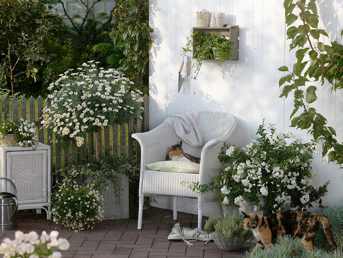 White terrace with wicker furniture and potted plants