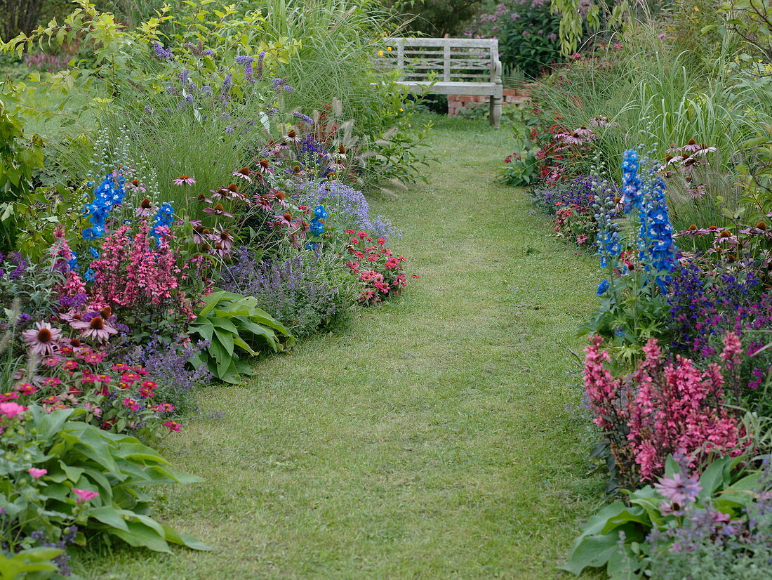 Lawn path between beds with perennials, summer flowers and grasses