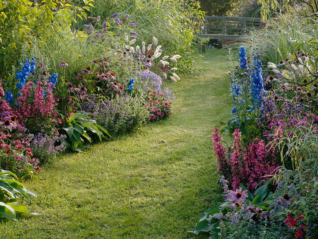 Rasenweg zwischen Beeten mit Stauden, Sommerblumen und Gräsern