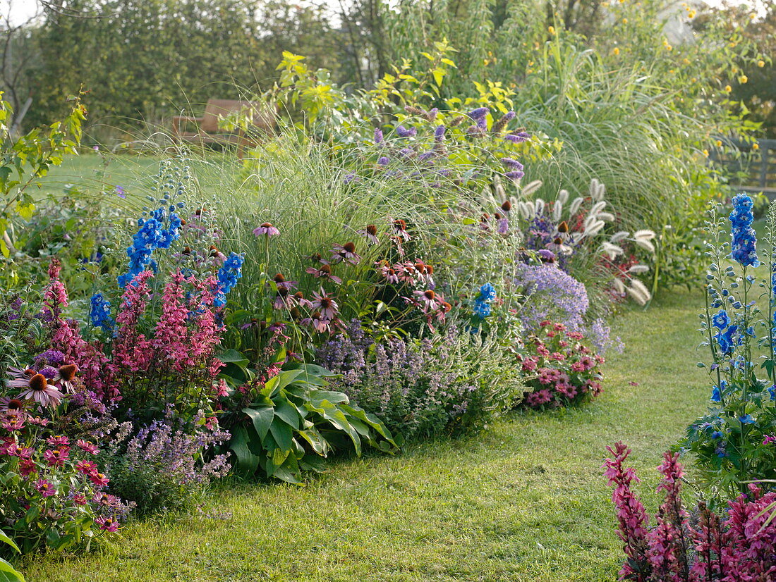 Lawn path between beds with perennials, summer flowers and grasses