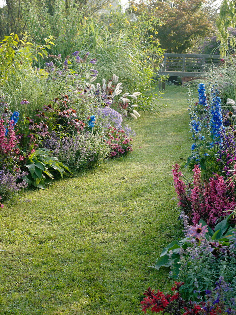 Rasenweg zwischen Beeten mit Stauden, Sommerblumen und Gräsern