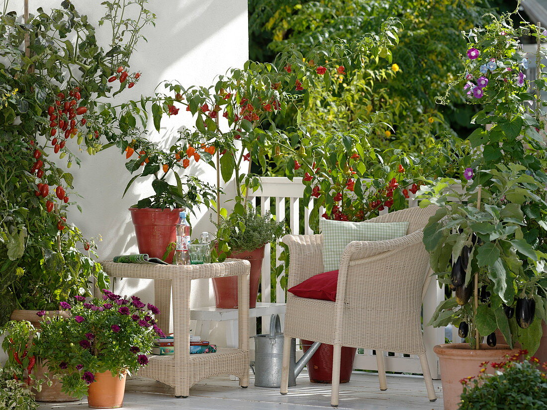 White balcony with chilli and tomatoes