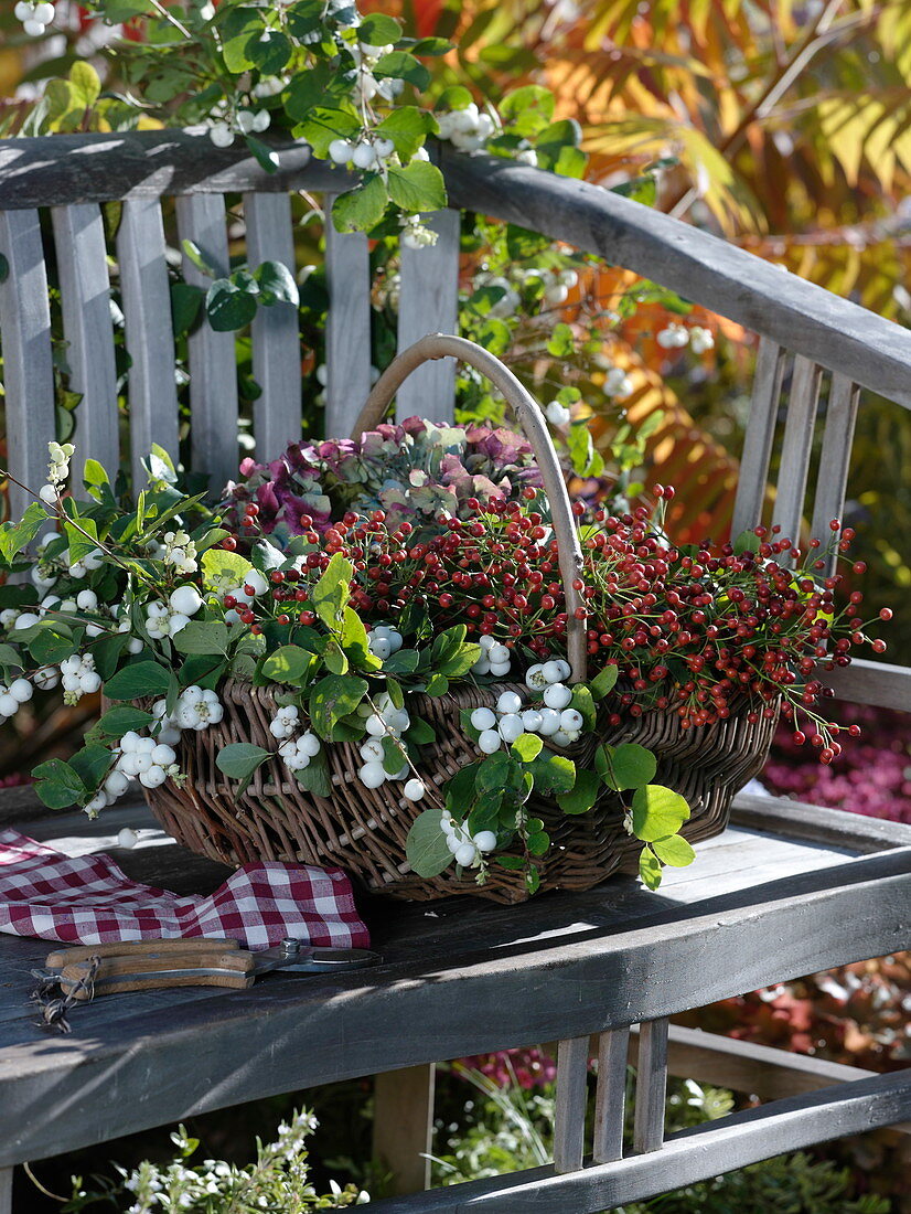 Willow basket with autumnal fruit decoration on bench