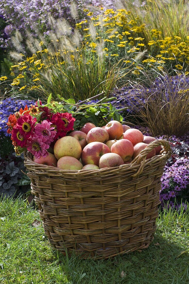Großer Weidenkorb mit Äpfeln und Blumen
