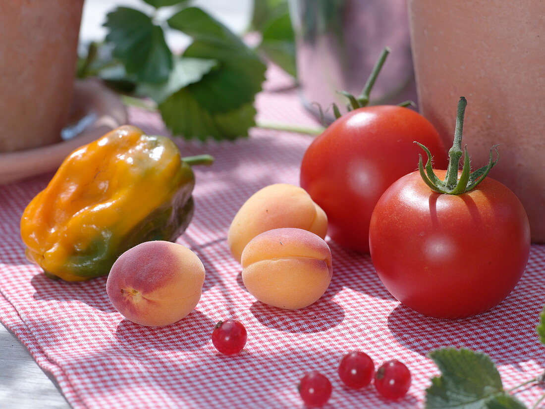 Stillleben mit Tomaten, Paprika und Aprikosen
