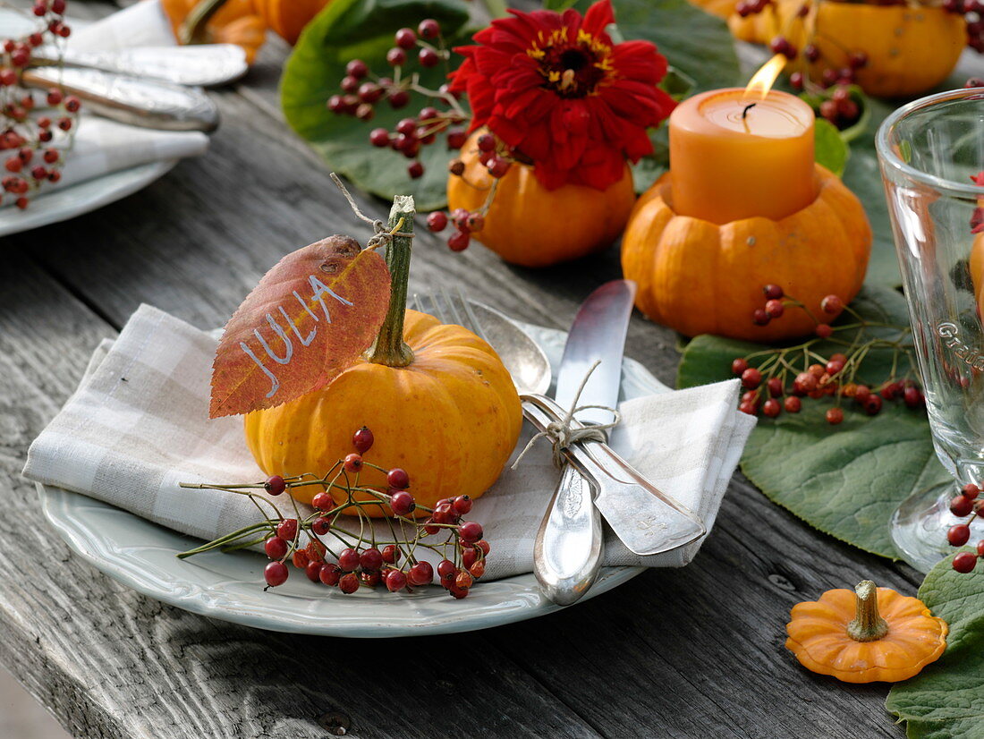 Table decoration with small pumpkins and zinnias