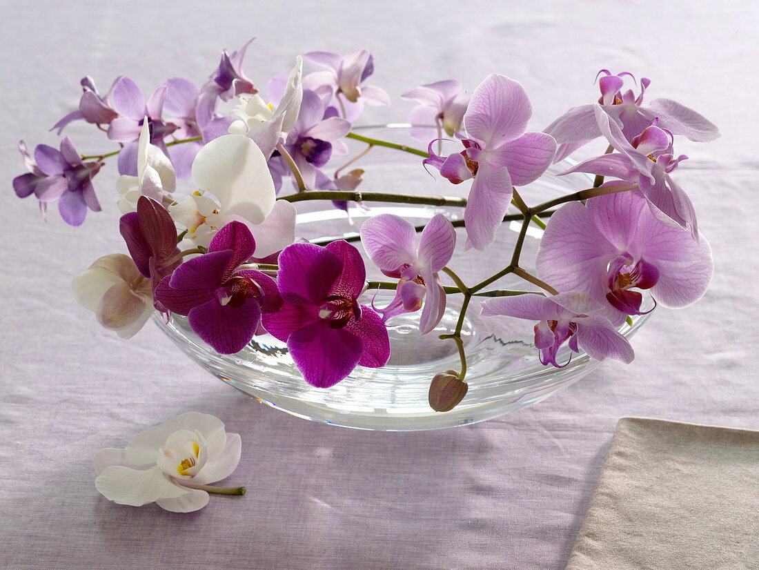 Orchids in glass bowl as table decoration