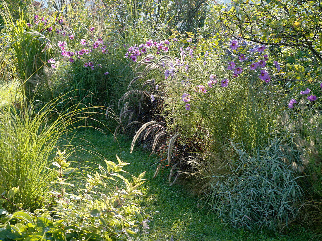 Grass bed with ornamental baskets by the lawn path