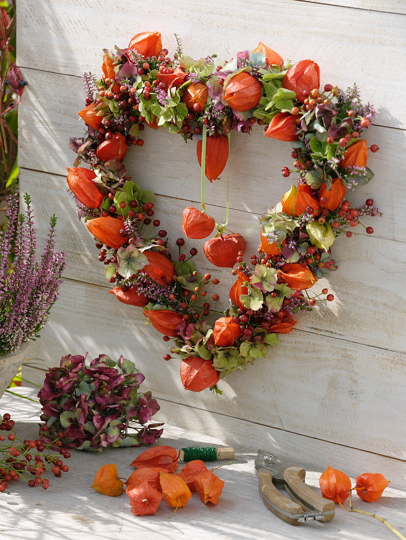 Lantern flower herat, broom heath, hydrangea and rosehip