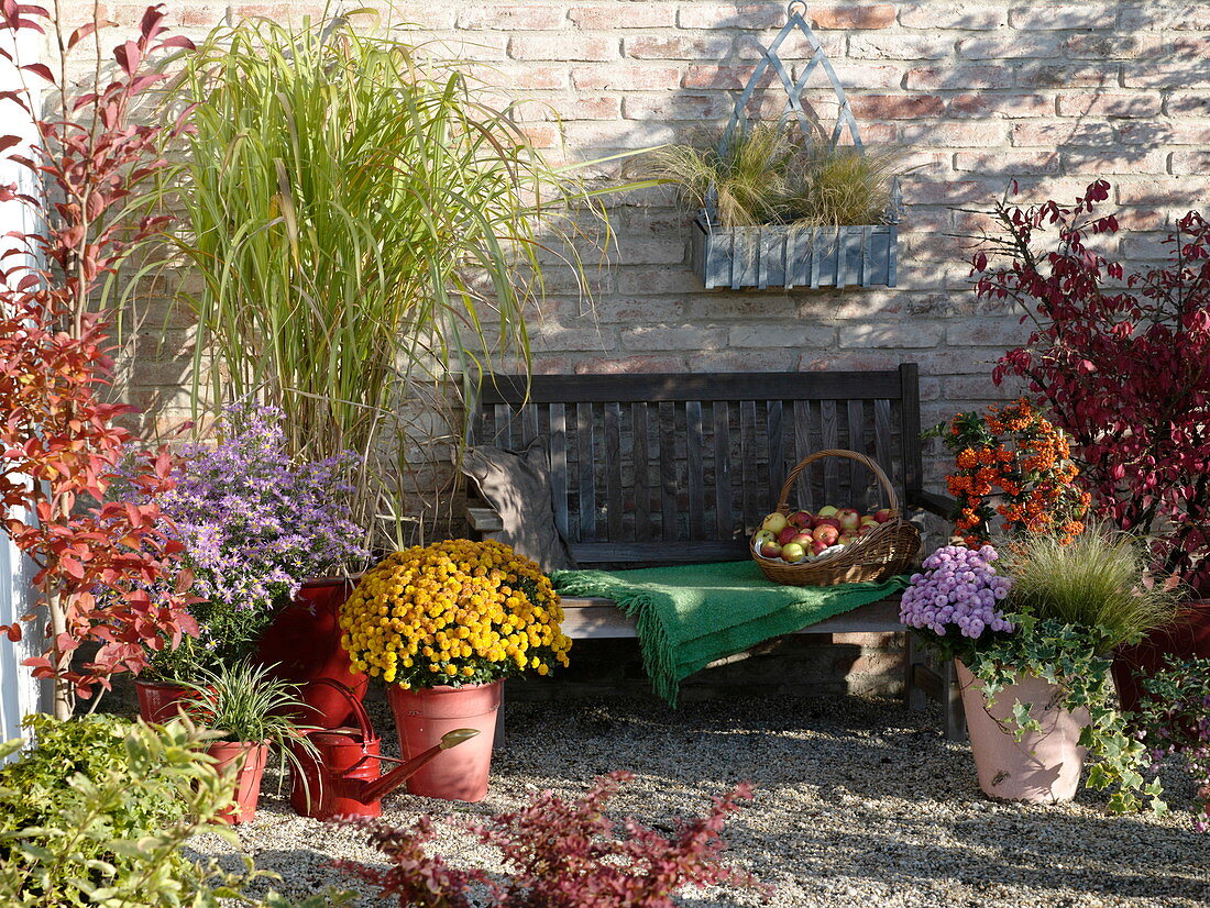 Autumn terrace with perennials and grasses