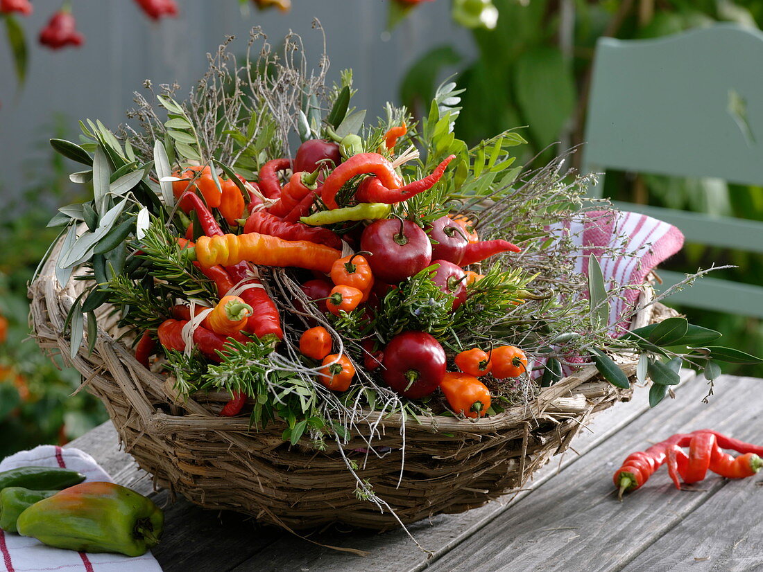 Verschiedene geerntete Paprika und Peperoni in Korb: Peperoni 'Lombardo'