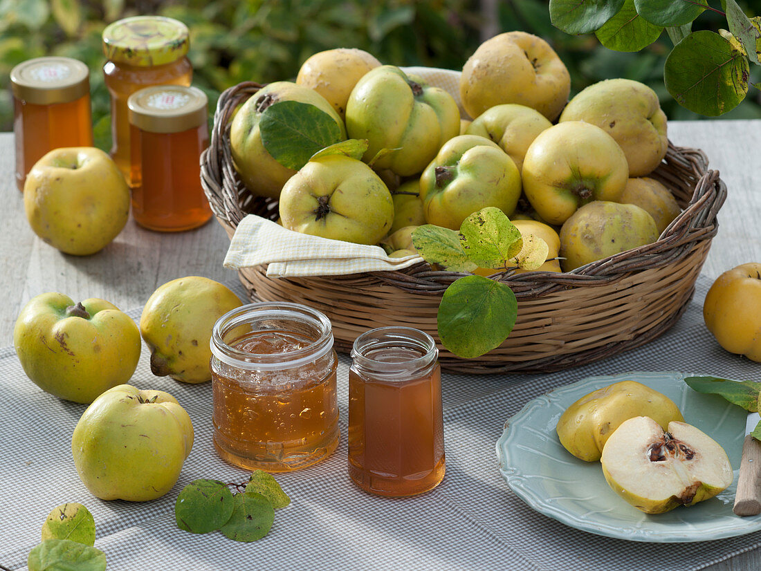 Quinces in a basket, quince jelly