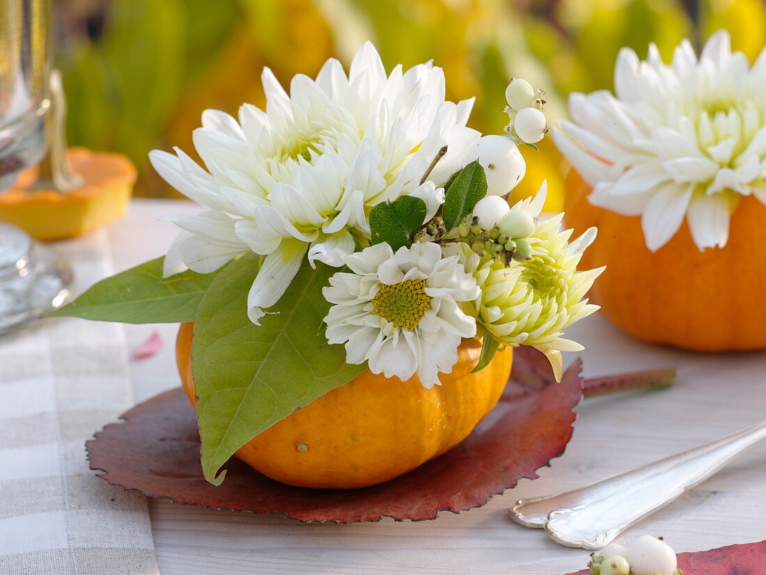 Hollowed out small pumpkin with dahlias