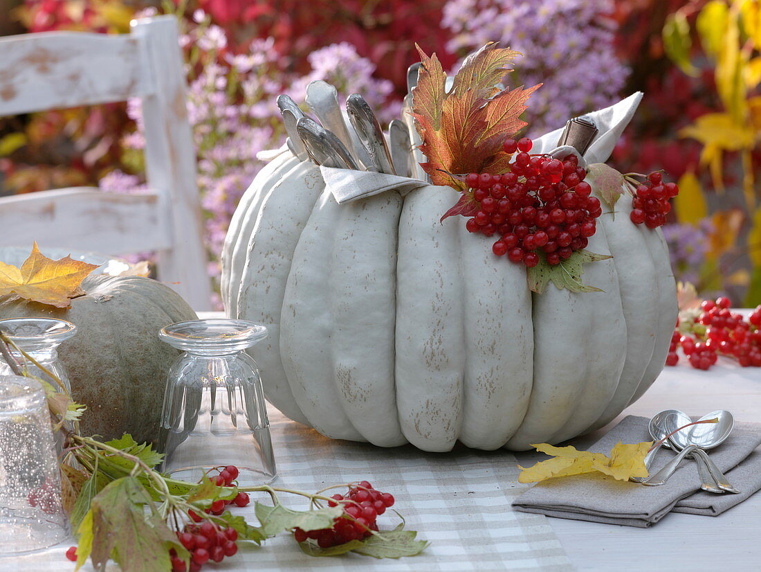 Hollow white pumpkin 'Muscat de Provence' filled with cutlery
