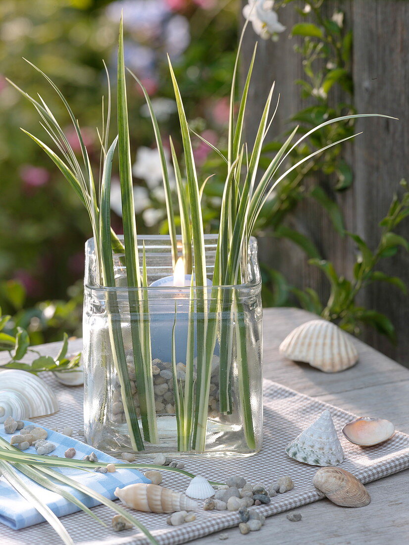 Lantern with grasses