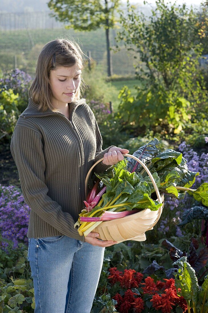 Young woman holding a basket with chard 'Bright Lights'.