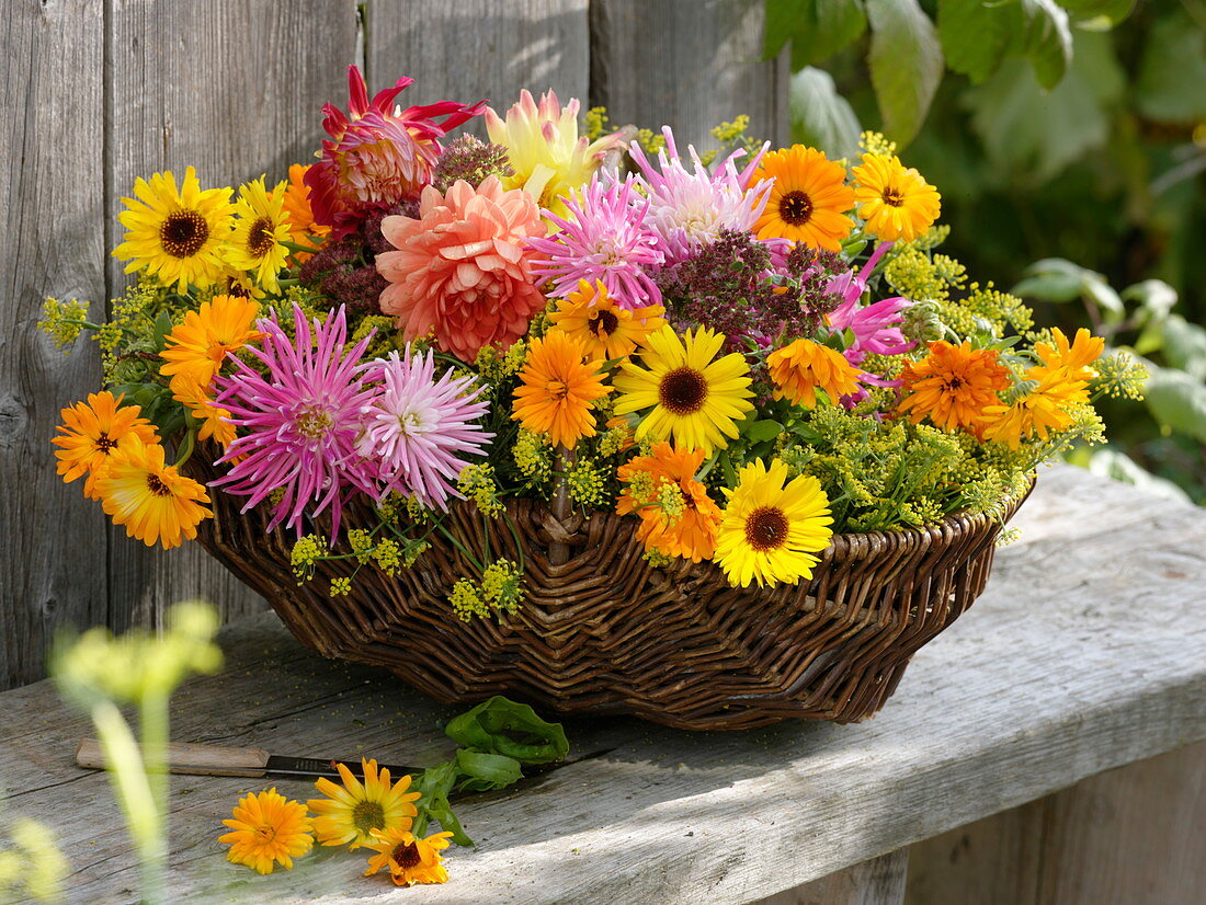 Late summer bloomer in wicker basket