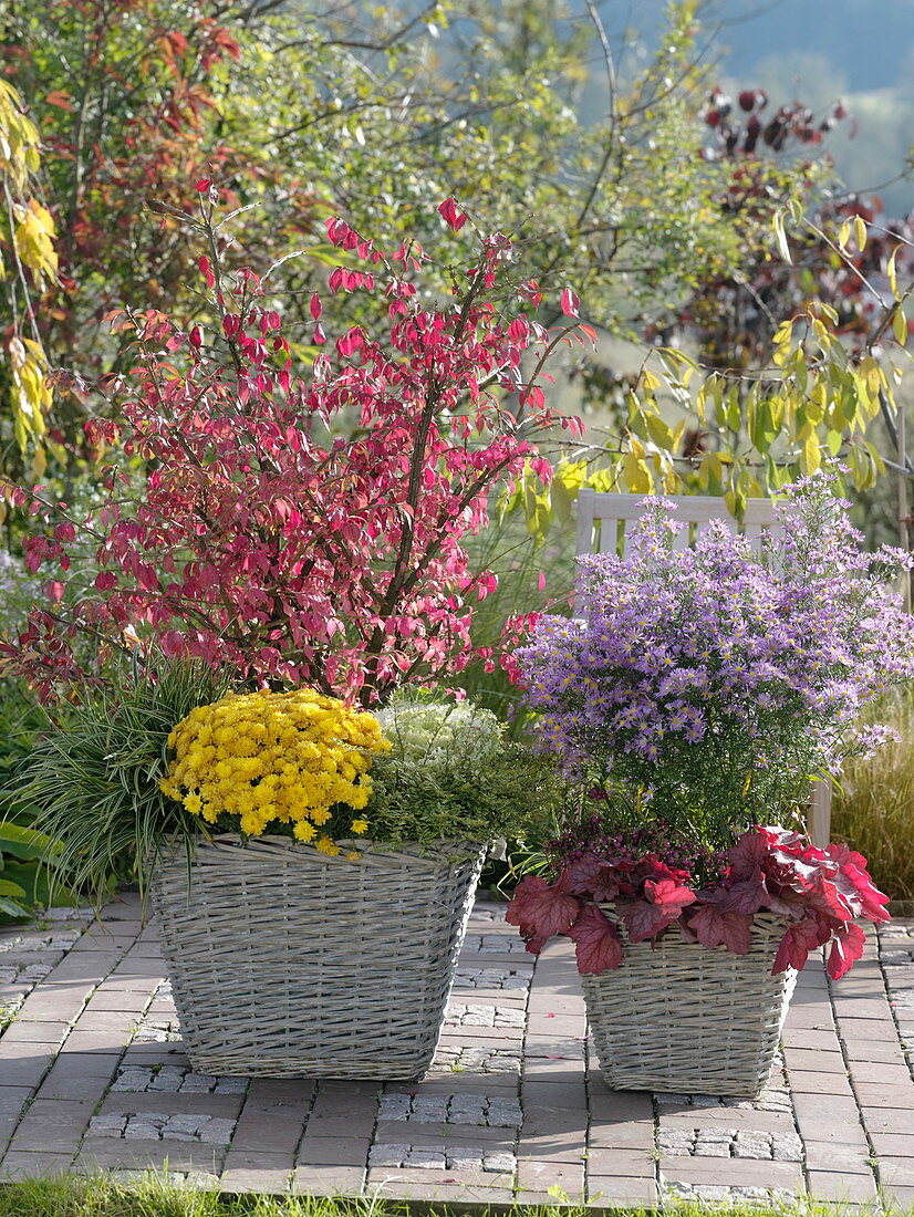 Herbstlich bepflanzte Körbe auf der Terrasse