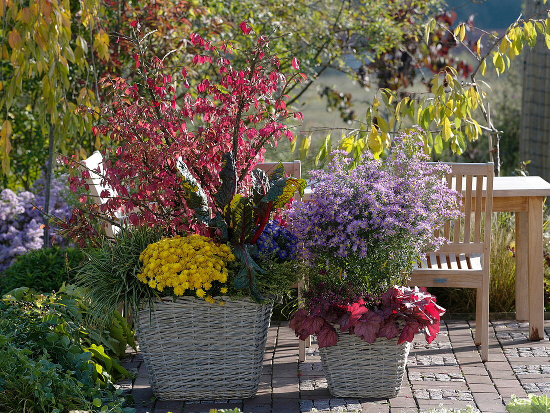 Herbstlich bepflanzte Körbe auf der Terrasse