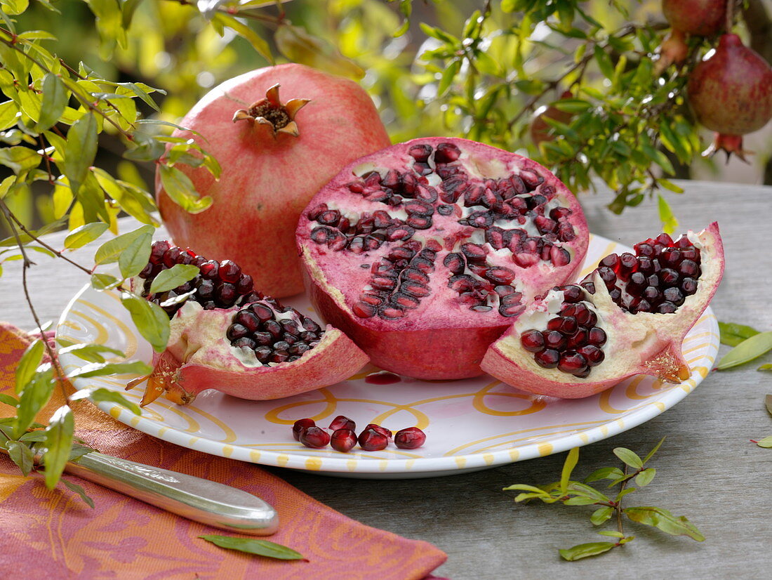 Cut open pomegranate (Punica granatum) and whole fruit on