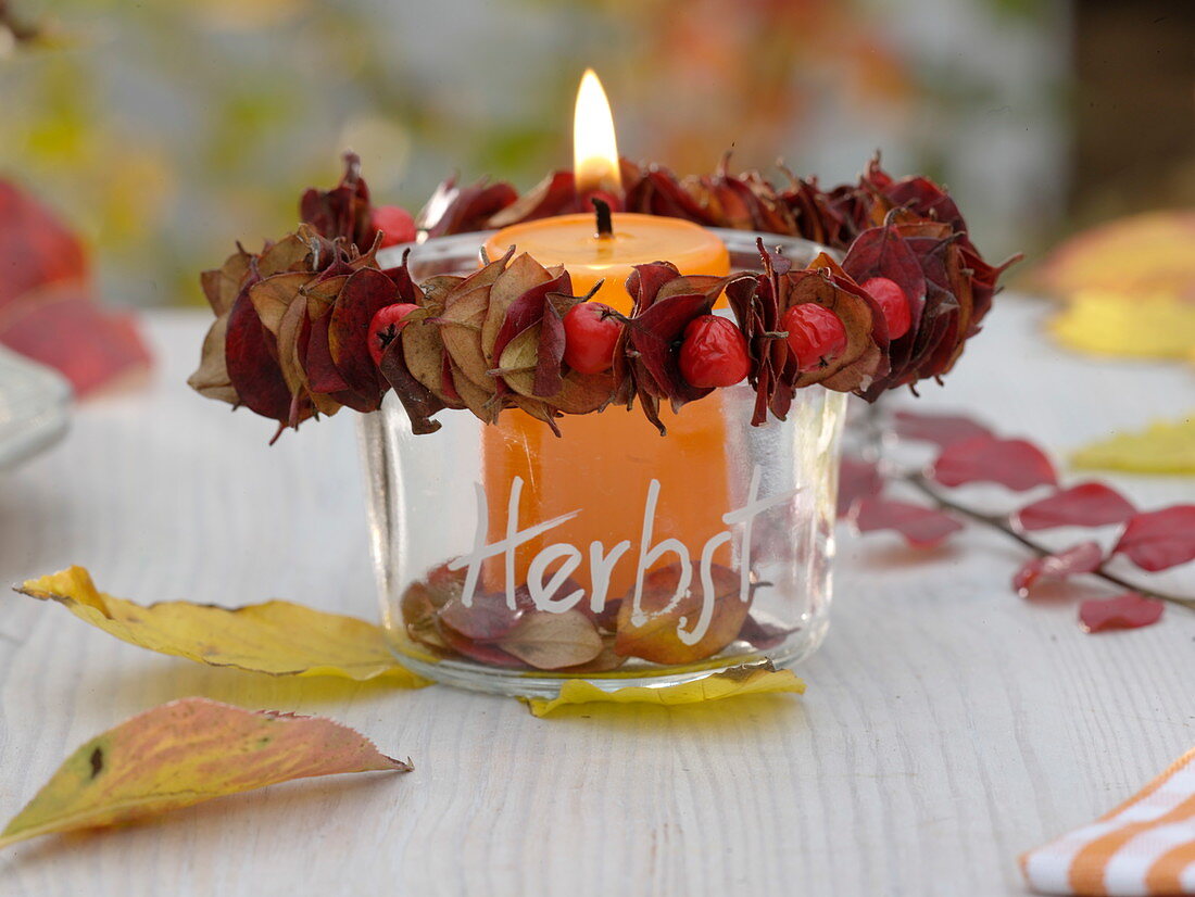 Autumnal lantern with a wreath of Cotoneaster (dwarf medlar)