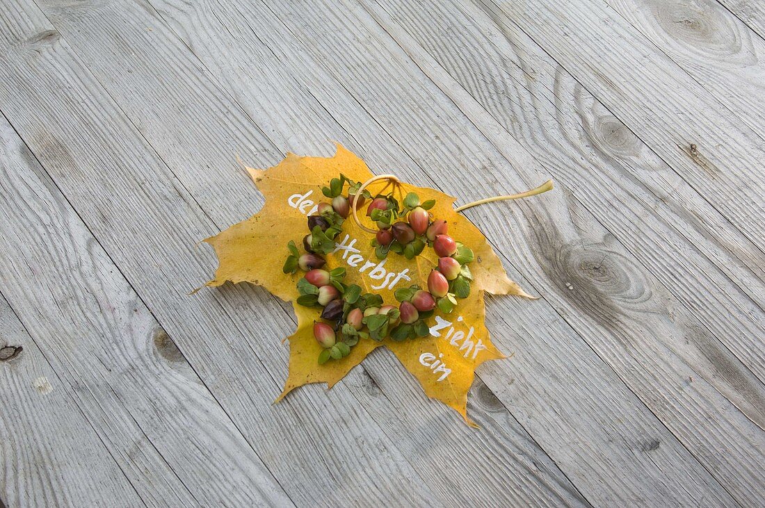 Box with heather and maple leaves (3/4)