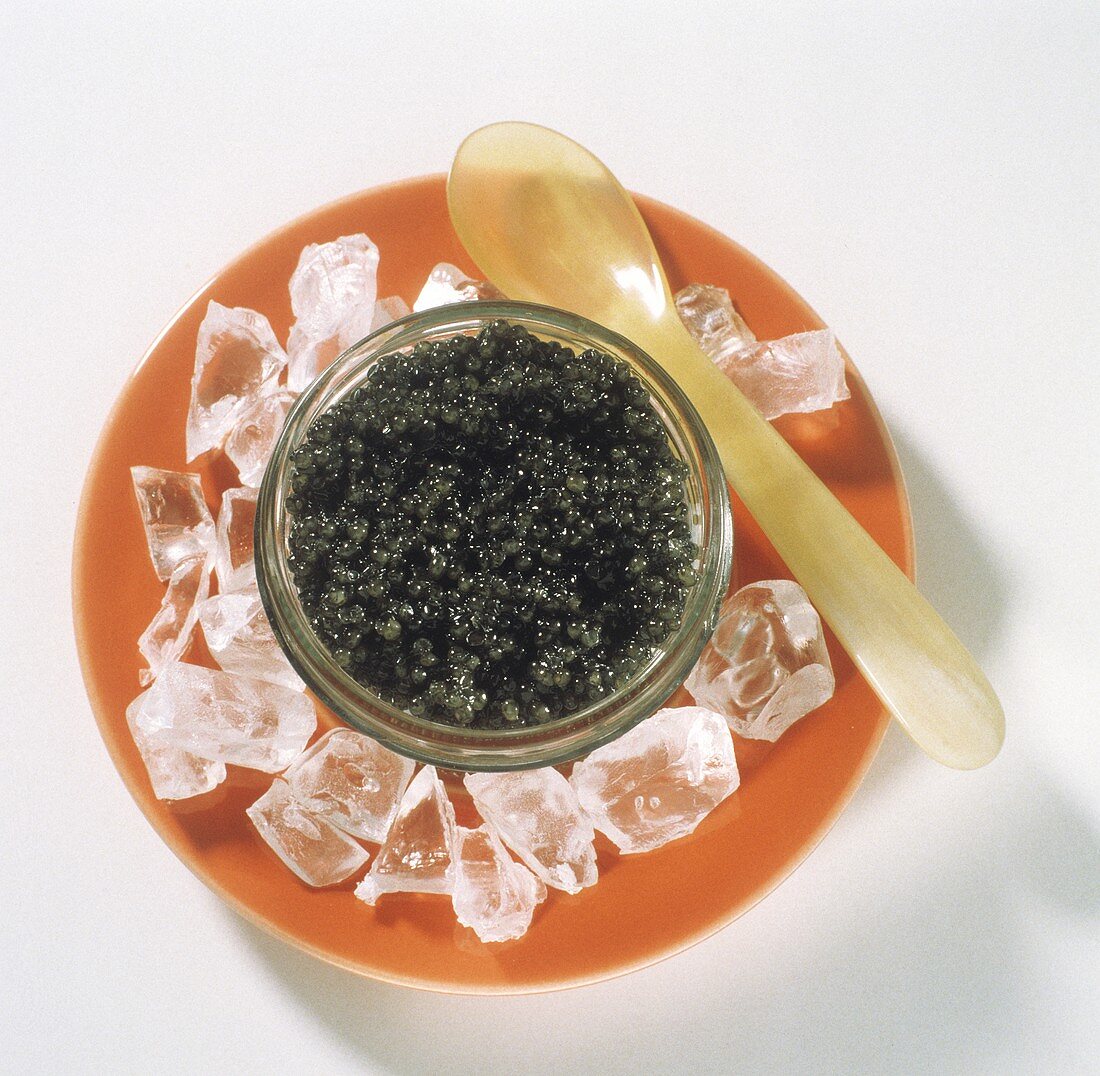 A Bowl of Black Caviar on Ice with a Spoon