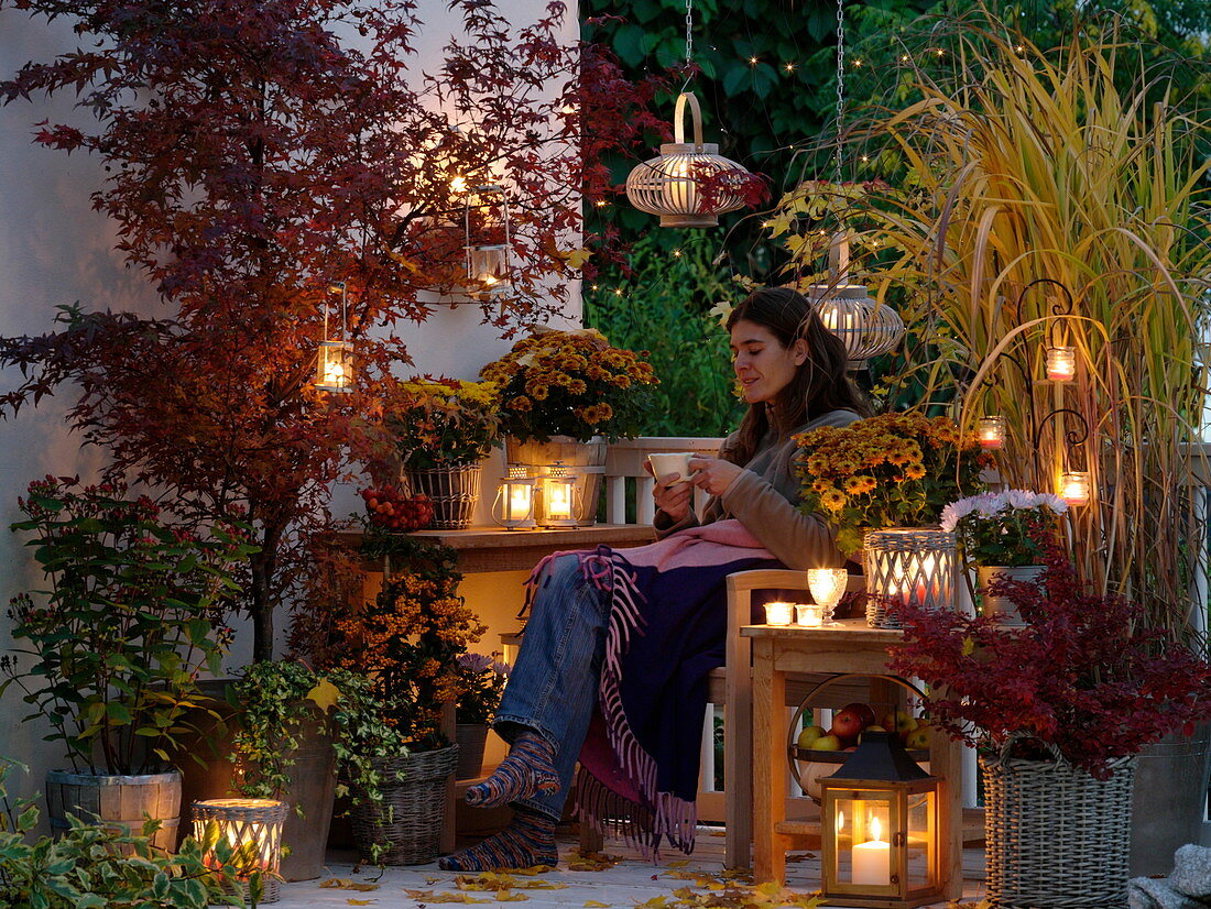 Autumn balcony of lights with Chrysanthemum (autumn chrysanthemums)