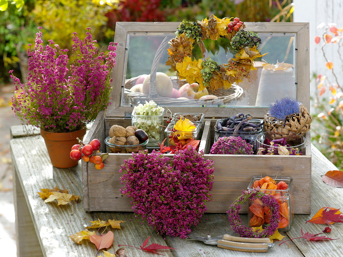 Holzkiste mit Glasdeckel gefüllt mit Nüssen, Blüten, Blättern zum Basteln