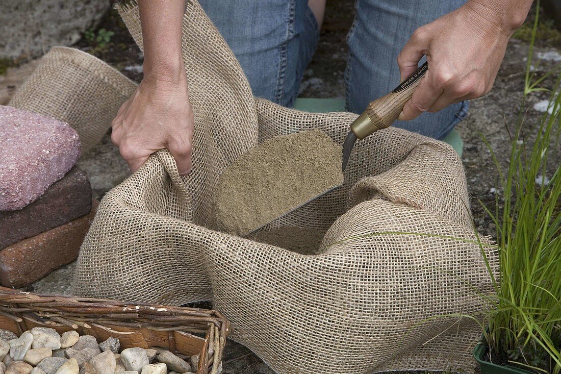 Planting Nymphaea (water lilies) in an aquatic plant basket (2/11)