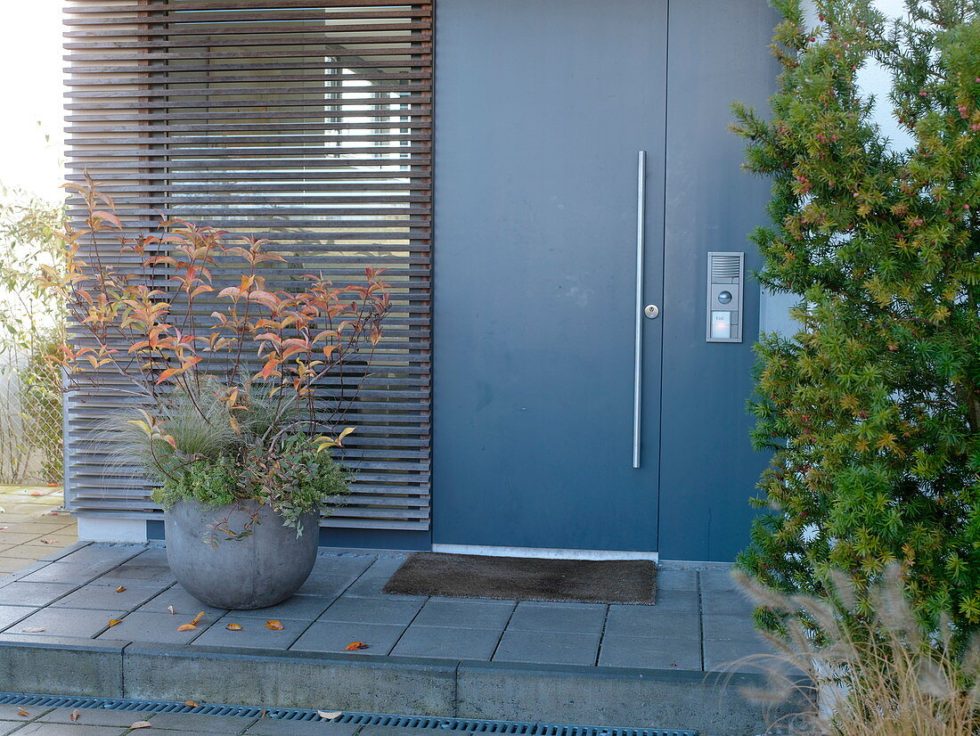 House entrance with modern grey front door