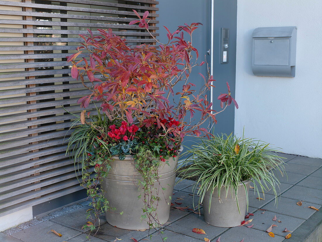 House entrance with modern grey front door