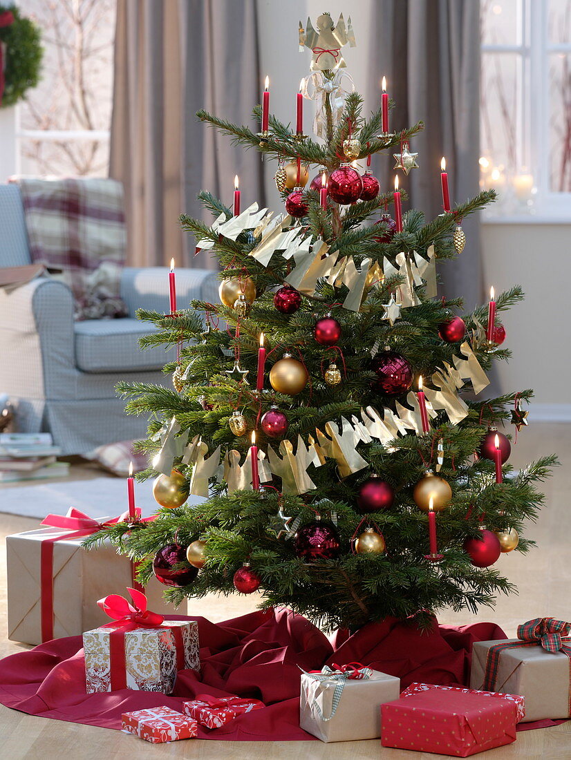 Nordmann fir decorated red and gold